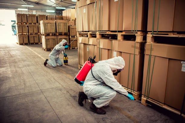 Best Pest Prevention Services  in Mitchellville, MD