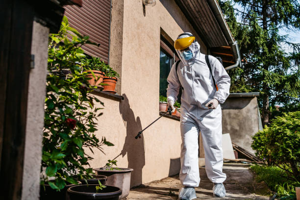 Best Local Pest Control Services  in Mitchellville, MD