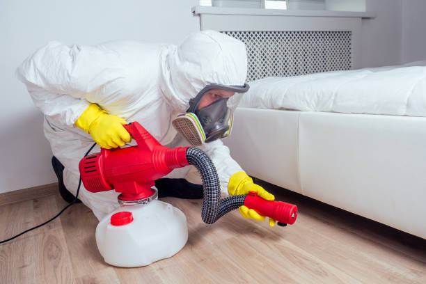 Flea Control Services in Mitchellville, MD