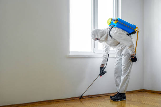 Best Mosquito Control Services  in Mitchellville, MD