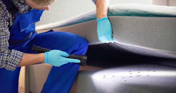 Best Flea Control Services  in Mitchellville, MD